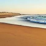 Ecureuils By Interhome * ميميزا-بلاج