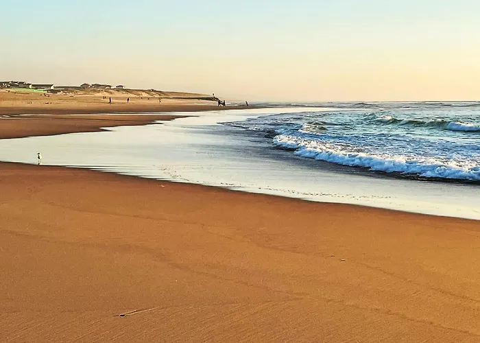 Ecureuils By Interhome * Mimizan Plage